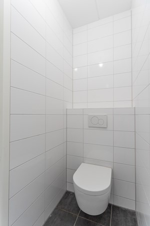 40-Moerasorchidee 13 - Lelystad.jpg